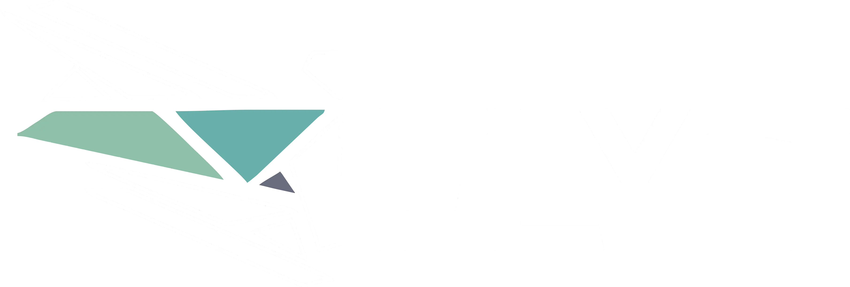 Flyt logo